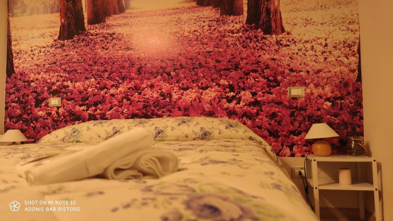 Hotel Adonis Castelvecchio Calvisio Zewnętrze zdjęcie