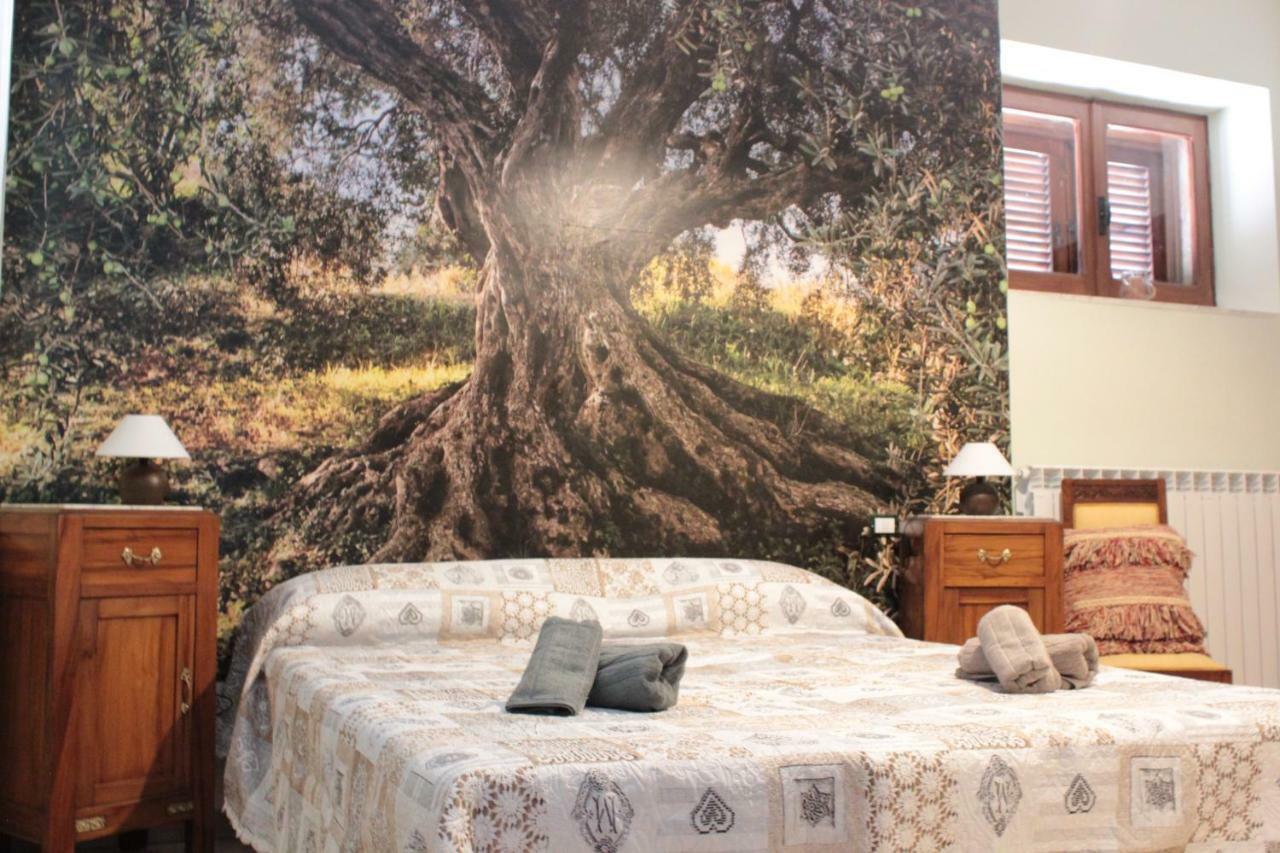 Hotel Adonis Castelvecchio Calvisio Zewnętrze zdjęcie